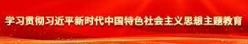 白虎美女逼学习贯彻习近平新时代中国特色社会主义思想主题教育